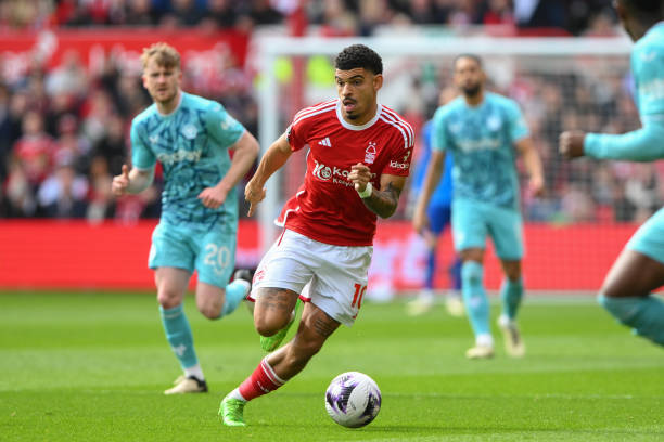 尽管在国际 尽管在国际